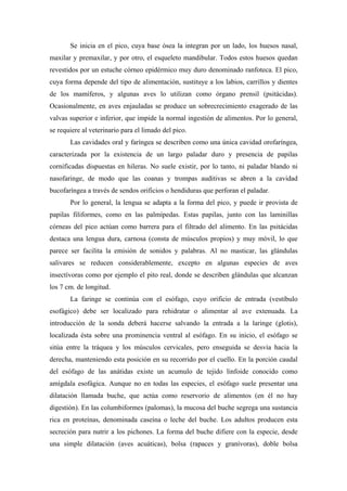 Se inicia en el pico, cuya base ósea la integran por un lado, los huesos nasal,
maxilar y premaxilar, y por otro, el esqueleto mandibular. Todos estos huesos quedan
revestidos por un estuche córneo epidérmico muy duro denominado ranfoteca. El pico,
cuya forma depende del tipo de alimentación, sustituye a los labios, carrillos y dientes
de los mamíferos, y algunas aves lo utilizan como órgano prensil (psitácidas).
Ocasionalmente, en aves enjauladas se produce un sobrecrecimiento exagerado de las
valvas superior e inferior, que impide la normal ingestión de alimentos. Por lo general,
se requiere al veterinario para el limado del pico.
Las cavidades oral y faríngea se describen como una única cavidad orofaríngea,
caracterizada por la existencia de un largo paladar duro y presencia de papilas
cornificadas dispuestas en hileras. No suele existir, por lo tanto, ni paladar blando ni
nasofaringe, de modo que las coanas y trompas auditivas se abren a la cavidad
bucofaríngea a través de sendos orificios o hendiduras que perforan el paladar.
Por lo general, la lengua se adapta a la forma del pico, y puede ir provista de
papilas filiformes, como en las palmípedas. Estas papilas, junto con las laminillas
córneas del pico actúan como barrera para el filtrado del alimento. En las psitácidas
destaca una lengua dura, carnosa (consta de músculos propios) y muy móvil, lo que
parece ser facilita la emisión de sonidos y palabras. Al no masticar, las glándulas
salivares se reducen considerablemente, excepto en algunas especies de aves
insectívoras como por ejemplo el pito real, donde se describen glándulas que alcanzan
los 7 cm. de longitud.
La faringe se continúa con el esófago, cuyo orificio de entrada (vestíbulo
esofágico) debe ser localizado para rehidratar o alimentar al ave extenuada. La
introducción de la sonda deberá hacerse salvando la entrada a la laringe (glotis),
localizada ésta sobre una prominencia ventral al esófago. En su inicio, el esófago se
sitúa entre la tráquea y los músculos cervicales, pero enseguida se desvía hacia la
derecha, manteniendo esta posición en su recorrido por el cuello. En la porción caudal
del esófago de las anátidas existe un acumulo de tejido linfoide conocido como
amígdala esofágica. Aunque no en todas las especies, el esófago suele presentar una
dilatación llamada buche, que actúa como reservorio de alimentos (en él no hay
digestión). En las columbiformes (palomas), la mucosa del buche segrega una sustancia
rica en proteínas, denominada caseína o leche del buche. Los adultos producen esta
secreción para nutrir a los pichones. La forma del buche difiere con la especie, desde
una simple dilatación (aves acuáticas), bolsa (rapaces y granívoras), doble bolsa
 