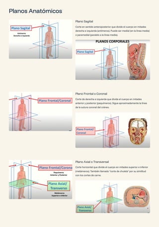 Sentido Axial Anatomia-Base-de-la-Practica-Medica (1).pdf