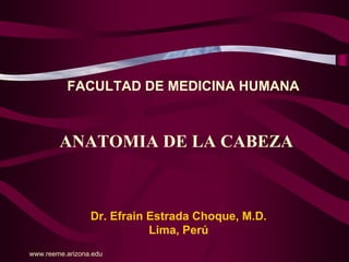 FACULTAD DE MEDICINA HUMANA



        ANATOMIA DE LA CABEZA



                 Dr. Efrain Estrada Choque, M.D.
                            Lima, Perú
www.reeme.arizona.edu
 
