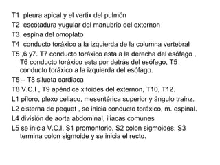 T1 pleura apical y el vertix del pulmón
T2 escotadura yugular del manubrio del externon
T3 espina del omoplato
T4 conducto toráxico a la izquierda de la columna vertebral
T5 ,6 y7. T7 conducto toráxico esta a la derecha del esófago ,
T6 conducto toráxico esta por detrás del esófago, T5
conducto toráxico a la izquierda del esófago.
T5 – T8 silueta cardiaca
T8 V.C.I , T9 apéndice xifoides del externon, T10, T12.
L1 píloro, plexo celiaco, mesentérica superior y ángulo trainz.
L2 cisterna de pequet , se inicia conducto toráxico, m. espinal.
L4 división de aorta abdominal, iliacas comunes
L5 se inicia V.C.I, S1 promontorio, S2 colon sigmoides, S3
termina colon sigmoide y se inicia el recto.
 