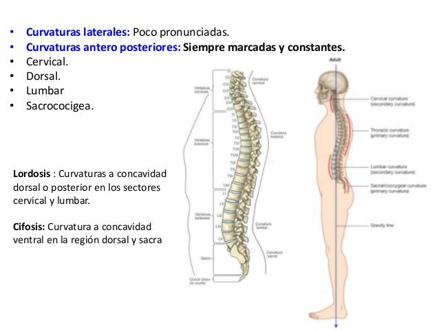 La diarrea y el dolor en el campo de los riñones