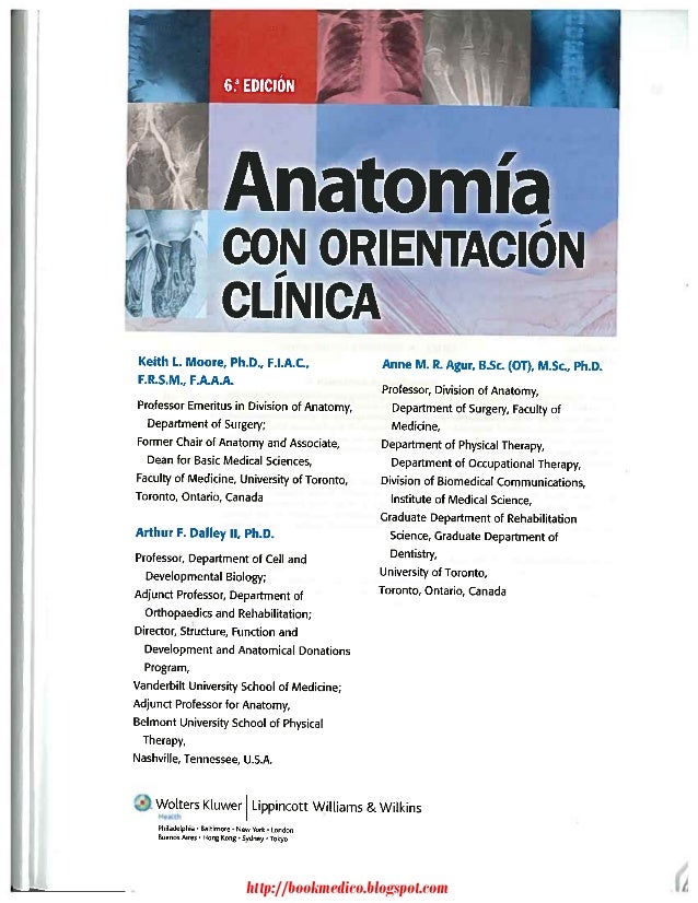 Anatomia Con Orientacion Clinica Moore Pdf 7 Edicion De Imagenes