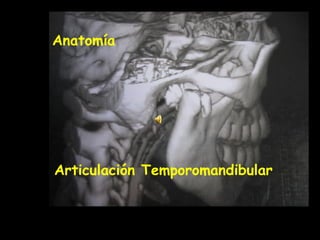 Anatomía  Articulación Temporomandibular 