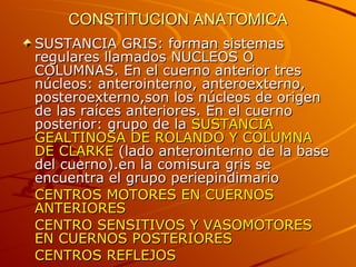 CONSTITUCION ANATOMICA SUSTANCIA GRIS: forman sistemas regulares llamados NUCLEOS O COLUMNAS. En el cuerno anterior tres núcleos: anterointerno, anteroexterno, posteroexterno,son los núcleos de origen de las raíces anteriores. En el cuerno posterior: grupo de la  SUSTANCIA GEALTINOSA DE ROLANDO Y COLUMNA DE CLARKE  (lado anterointerno de la base del cuerno).en la comisura gris se encuentra el grupo periepindimario  CENTROS MOTORES EN CUERNOS ANTERIORES CENTRO SENSITIVOS Y VASOMOTORES EN CUERNOS POSTERIORES CENTROS REFLEJOS 