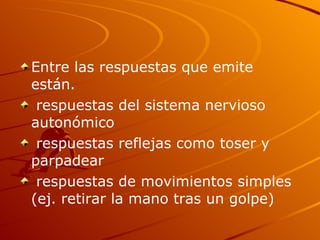 Entre las respuestas que emite están. respuestas del sistema nervioso autonómico respuestas reflejas como toser y parpadear respuestas de movimientos simples (ej. retirar la mano tras un golpe) 