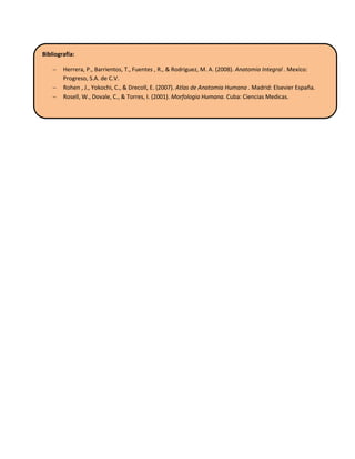 Bibliografía:
 Herrera, P., Barrientos, T., Fuentes , R., & Rodriguez, M. A. (2008). Anatomia Integral . Mexico:
Progreso, S.A. de C.V.
 Rohen , J., Yokochi, C., & Drecoll, E. (2007). Atlas de Anatomia Humana . Madrid: Elsevier España.
 Rosell, W., Dovale, C., & Torres, I. (2001). Morfologia Humana. Cuba: Ciencias Medicas.
 