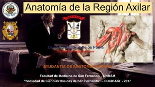 Anatomía de la Región Axilar
Dr. Víctor Omar Vallejos Poma
vvallejospoma@gmail.com
“AYUDANTIA DE ANATOMIA HUMANA”
Facultad de Medicina de San Fernando – UNMSM
“Sociedad de Ciencias Básicas de San Fernando” – SOCIBASF - 2017
 