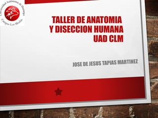 TALLER DE ANATOMIA
Y DISECCION HUMANA
UAD CLM
JOSE DE JESUS TAPIAS MARTINEZ
 