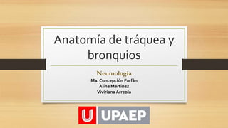 Anatomía de tráquea y
bronquios
Neumología
Ma. Concepción Farfán
Aline Martinez
VivirianaArreola
 