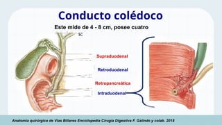 anatomia-de-vesicula-biliar-y-las-vias-biliares.pptx