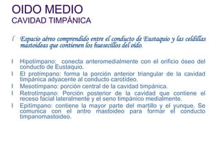 OIDO MEDIO CAVIDAD TIMPÁNICA Espacio aéreo comprendido entre el conducto de Eustaquio y las celdillas mastoideas que contienen los huesecillos del oído . Hipotímpano:  conecta anteromedialmente con el orificio óseo del conducto de Eustaquio. El protímpano: forma la porción anterior triangular de la cavidad timpánica adyacente al conducto carotídeo. Mesotímpano: porción central de la cavidad timpánica. Retrotímpano: Porción posterior de la cavidad que contiene el receso facial lateralmente y el seno timpánico medialmente. Epitímpano: contiene la mayor parte del martillo y el yunque. Se comunica con el antro mastoideo para formar el conducto timpanomastoideo. 
