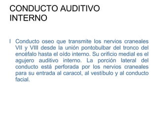 CONDUCTO AUDITIVO INTERNO Conducto oseo que transmite los nervios craneales VII y VIII desde la unión pontobulbar del tronco del encéfalo hasta el oído interno. Su orificio medial es el agujero auditivo interno. La porción lateral del conducto está perforada por los nervios craneales para su entrada al caracol, al vestíbulo y al conducto facial. 