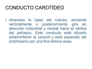 CONDUCTO CAROTÍDEO Atraviesa la base del cráneo, asciende verticalmente y posteriormente gira en dirección hotizontal y medial hacia el vértice del peñasco. Este conducto está situado anteroinferior al caracol y está separado del protímpano por una fina lámina ósea. 