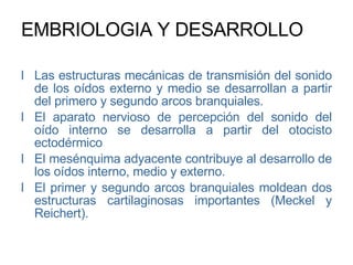 EMBRIOLOGIA Y DESARROLLO Las estructuras mecánicas de transmisión del sonido de los oídos externo y medio se desarrollan a partir del primero y segundo arcos branquiales. El aparato nervioso de percepción del sonido del oído interno se desarrolla a partir del otocisto ectodérmico El mesénquima adyacente contribuye al desarrollo de los oídos interno, medio y externo. El primer y segundo arcos branquiales moldean dos estructuras cartilaginosas importantes (Meckel y Reichert). 