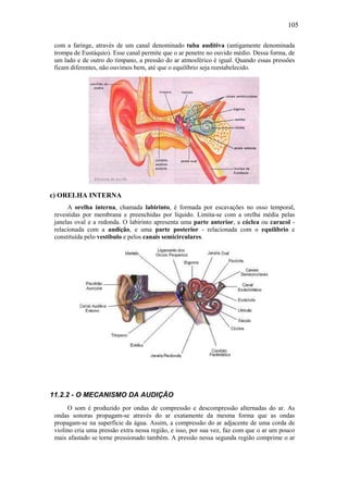105
com a faringe, através de um canal denominado tuba auditiva (antigamente denominada
trompa de Eustáquio). Esse canal permite que o ar penetre no ouvido médio. Dessa forma, de
um lado e de outro do tímpano, a pressão do ar atmosférico é igual. Quando essas pressões
ficam diferentes, não ouvimos bem, até que o equilíbrio seja reestabelecido.
c) ORELHA INTERNA
A orelha interna, chamada labirinto, é formada por escavações no osso temporal,
revestidas por membrana e preenchidas por líquido. Limita-se com a orelha média pelas
janelas oval e a redonda. O labirinto apresenta uma parte anterior, a cóclea ou caracol -
relacionada com a audição, e uma parte posterior - relacionada com o equilíbrio e
constituída pelo vestíbulo e pelos canais semicirculares.
11.2.2 - O MECANISMO DA AUDIÇÃO
O som é produzido por ondas de compressão e descompressão alternadas do ar. As
ondas sonoras propagam-se através do ar exatamente da mesma forma que as ondas
propagam-se na superfície da água. Assim, a compressão do ar adjacente de uma corda de
violino cria uma pressão extra nessa região, e isso, por sua vez, faz com que o ar um pouco
mais afastado se torne pressionado também. A pressão nessa segunda região comprime o ar
 