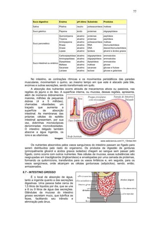 77
Suco digestivo Enzima pH ótimo Substrato Produtos
Saliva Ptialina neutro polissacarídeos maltose
Suco gástrico Pepsina ácido proteínas oligopeptídeos
Suco pancreático
Quimiotripsina
Tripsina
Amilopepsina
Rnase
Dnase
Lipase
alcalino
alcalino
alcalino
alcalino
alcalino
alcalino
proteínas
proteínas
polissacarídeos
RNA
DNA
lipídeos
peptídeos
peptídeos
maltose
ribonucleotídeos
desoxirribonucleotídeos
glicerol e ácidos graxos
Suco intestinal ou entérico
Carboxipeptidase
Aminopeptidase
Dipeptidase
Maltase
Sacarase
Lactase
alcalino
alcalino
alcalino
alcalino
alcalino
alcalino
oligopeptídeos
oligopeptídeos
dipeptídeos
maltose
sacarose
lactose
aminoácidos
aminoácidos
aminoácidos
glicose
glicose e frutose
glicose e galactose
No intestino, as contrações rítmicas e os movimentos peristálticos das paredes
musculares, movimentam o quimo, ao mesmo tempo em que este é atacado pela bile,
enzimas e outras secreções, sendo transformado em quilo.
A absorção dos nutrientes ocorre através de mecanismos ativos ou passivos, nas
regiões do jejuno e do íleo. A superfície interna, ou mucosa, dessas regiões, apresenta,
além de inúmeros dobramentos
maiores, milhões de pequenas
dobras (4 a 5 milhões),
chamadas vilosidades; um
traçado que aumenta a
superfície de absorção
intestinal. As membranas das
próprias células do epitélio
intestinal apresentam, por sua
vez, dobrinhas microscópicas
denominadas microvilosidades.
O intestino delgado também
absorve a água ingerida, os
íons e as vitaminas.
Imagem:
www.webciencia.com/11_13intes.htm
Os nutrientes absorvidos pelos vasos sanguíneos do intestino passam ao fígado para
serem distribuídos pelo resto do organismo. Os produtos da digestão de gorduras
(principalmente glicerol e ácidos graxos isolados) chegam ao sangue sem passar pelo
fígado, como ocorre com outros nutrientes. Nas células da mucosa, essas substâncias são
reagrupadas em triacilgliceróis (triglicerídeos) e envelopadas por uma camada de proteínas,
formando os quilomícrons, transferidos para os vasos linfáticos e, em seguida, para os
vasos sangüíneos, onde alcançam as células gordurosas (adipócitos), sendo, então,
armazenados.
6.7 - INTESTINO GROSSO
É o local de absorção de água,
tanto a ingerida quanto a das secreções
digestivas. Uma pessoa bebe cerca de
1,5 litros de líquidos por dia, que se une
a 8 ou 9 litros de água das secreções.
Glândulas da mucosa do intestino
grosso secretam muco, que lubrifica as
fezes, facilitando seu trânsito e
eliminação pelo ânus.
 