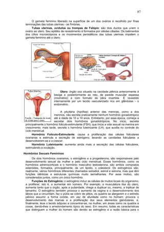 87
O gameta feminino liberado na superfície de um dos ovários é recolhido por finas
terminações das tubas uterinas - as fímbrias.
Tubas uterinas, ovidutos ou trompas de Falópio: são dois ductos que unem o
ovário ao útero. Seu epitélio de revestimento é formados por células ciliadas. Os batimentos
dos cílios microscópicos e os movimentos peristálticos das tubas uterinas impelem o
gameta feminino até o útero.
Útero: órgão oco situado na cavidade pélvica anteriormente à
bexiga e posteriormente ao reto, de parede muscular espessa
(miométrio) e com formato de pêra invertida. É revestido
internamente por um tecido vascularizado rico em glândulas - o
endométrio.
A pituitária (hipófise) anterior das meninas, como a dos
meninos, não secreta praticamente nenhum hormônio gonadotrópico
até à idade de 10 a 14 anos. Entretanto, por essa época, começa a
secretar dois hormônios gonadotrópicos. No inicio, secreta
principalmente o hormônio foliculo-estimulante (FSH), que inicia a vida sexual na menina em
crescimento; mais tarde, secreta o harmônio luteinizante (LH), que auxilia no controle do
ciclo menstrual.
Hormônio Folículo-Estimulante: causa a proliferação das células foliculares
ovarianas e estimula a secreção de estrógeno, levando as cavidades foliculares a
desenvolverem-se e a crescer.
Hormônio Luteinizante: aumenta ainda mais a secreção das células foliculares,
estimulando a ovulação.
Hormônios Sexuais Femininos
Os dois hormônios ovarianos, o estrogênio e a progesterona, são responsáveis pelo
desenvolvimento sexual da mulher e pelo ciclo menstrual. Esses hormônios, como os
hormônios adrenocorticais e o hormônio masculino testosterona, são ambos compostos
esteróides, formados, principalmente, de um lipídio, o colesterol. Os estrogênios são,
realmente, vários hormônios diferentes chamados estradiol, estriol e estrona, mas que têm
funções idênticas e estruturas químicas muito semelhantes. Por esse motivo, são
considerados juntos, como um único hormônio.
Funções do Estrogênio: o estrogênio induz as células de muitos locais do organismo,
a proliferar, isto é, a aumentar em número. Por exemplo, a musculatura lisa do útero,
aumenta tanto que o órgão, após a puberdade, chega a duplicar ou, mesmo, a triplicar de
tamanho. O estrogênio também provoca o aumento da vagina e o desenvolvimento dos
lábios que a circundam, faz o púbis se cobrir de pêlos, os quadris se alargarem e o estreito
pélvico assumir a forma ovóide, em vez de afunilada como no homem; provoca o
desenvolvimento das mamas e a proliferação dos seus elementos glandulares, e,
finalmente, leva o tecido adiposo a concentrar-se, na mulher, em áreas como os quadris e
coxas, dando-lhes o arredondamento típico do sexo. Em resumo, todas as características
que distinguem a mulher do homem são devido ao estrogênio e a razão básica para o
 