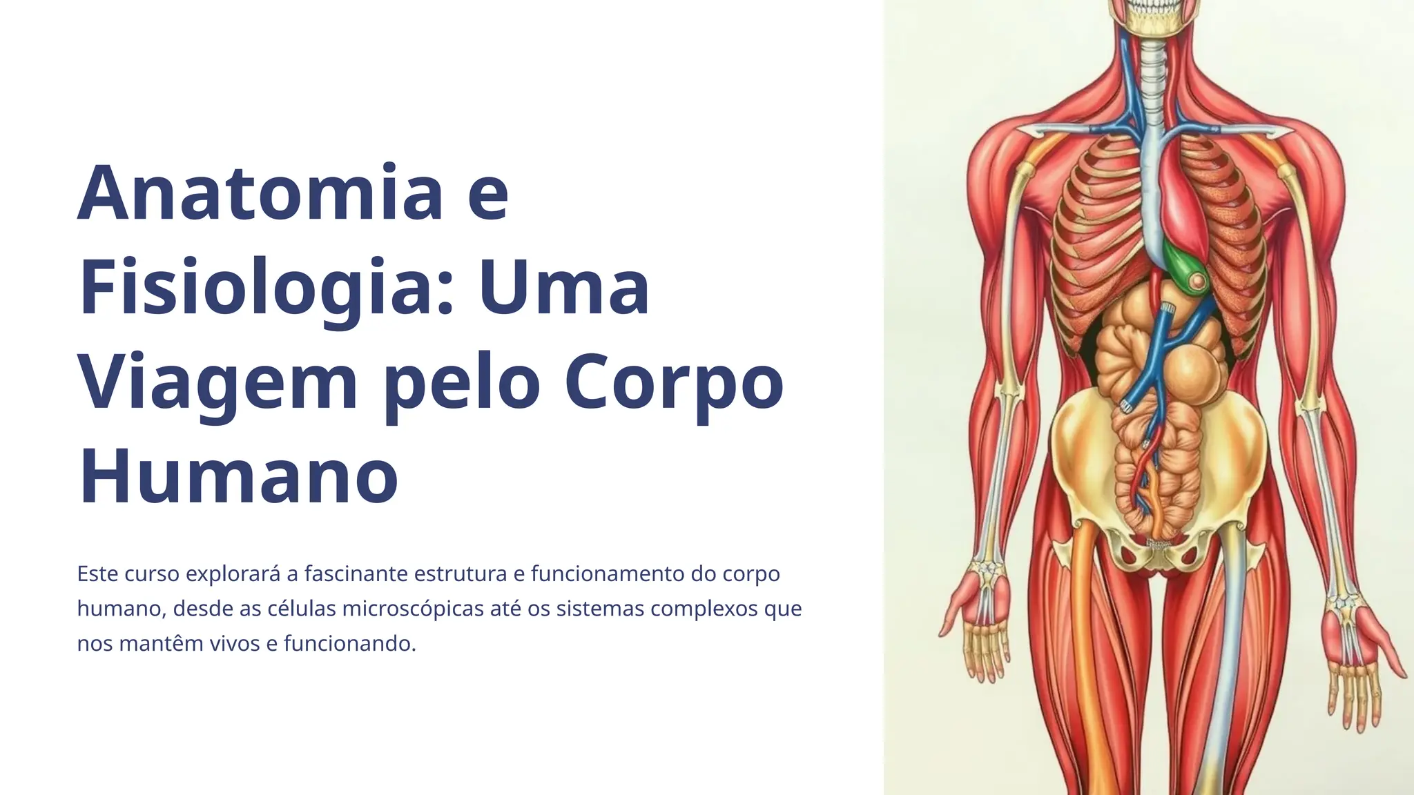Anatomia e Fisiologia corpo Humano.pptx