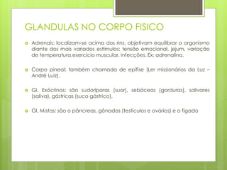 GLANDULAS NO CORPO FISICO
 Adrenais: localizam-se acima dos rins, objetivam equilibrar o organismo
diante dos mais variados estímulos: tensão emocional, jejum, variação
de temperatura,exercício muscular, infecções. Ex: adrenalina.
 Corpo pineal: também chamada de epífise (Ler missionários da Luz –
André Luiz).
 Gl. Exócrinas: são sudoríparas (suor), sebáceas (gorduras), salivares
(saliva), gástricas (suco gástrico).
 Gl. Mistas: são o pâncreas, gônadas (testículos e ovários) e o fígado
 