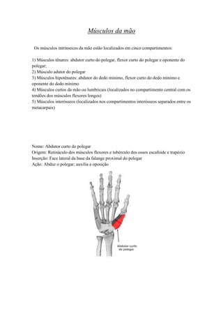 Músculos da mão
Os músculos intrínsecos da mão estão localizados em cinco compartimentos:
1) Músculos tênares: abdutor curto do polegar, flexor curto do polegar e oponente do
polegar;
2) Músculo adutor do polegar
3) Músculos hipotênares: abdutor do dedo mínimo, flexor curto do dedo mínimo e
oponente do dedo mínimo
4) Músculos curtos da mão ou lumbricais (localizados no compartimento central com os
tendões dos músculos flexores longos)
5) Músculos interósseos (localizados nos compartimentos interósseos separados entre os
metacarpais)
Nome: Abdutor curto do polegar
Origem: Retináculo dos músculos flexores e tubérculo dos ossos escafoide e trapézio
Inserção: Face lateral da base da falange proximal do polegar
Ação: Abduz o polegar; auxilia a oposição
 
