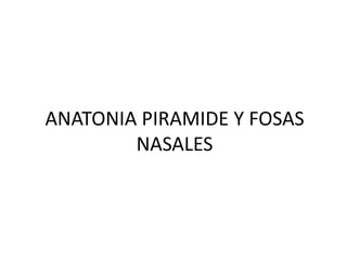 ANATONIA PIRAMIDE Y FOSAS
NASALES
 