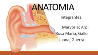 ANATOMIA
Integrantes:
Maryorie; Arpi
Rosa María; Gallo
Juana, Guerra
 