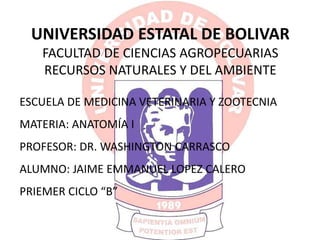 UNIVERSIDAD ESTATAL DE BOLIVAR
FACULTAD DE CIENCIAS AGROPECUARIAS
RECURSOS NATURALES Y DEL AMBIENTE
ESCUELA DE MEDICINA VETERINARIA Y ZOOTECNIA
MATERIA: ANATOMÍA I
PROFESOR: DR. WASHINGTON CARRASCO
ALUMNO: JAIME EMMANUEL LOPEZ CALERO
PRIEMER CICLO “B”
 