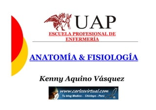 ESCUELA PROFESIONAL DE
        ENFERMERÍA



ANATOMÍA & FISIOLOGÍA

 Kenny Aquino Vásquez
 