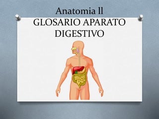 Anatomia ll
GLOSARIO APARATO
DIGESTIVO
 