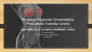 Hospital Regional Universitario
Presidente Estrella Ureña
ANATOMÍA DE LA GLÁNDULA MAMARIA Y AXILA
Dra. Mey Ling Díaz
R1 Cirugía General y Laparoscópica
Octubre 2022
 