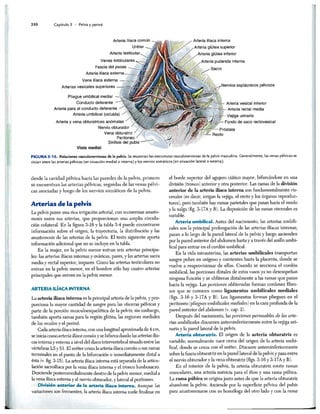 http://MedicoModerno.Blogspot.com
 
