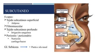SUBCUTANEO
4 capas:
Tejido subcutáneo superficial
• Adiposo
Fibromuscular
Tejido subcutáneo profundo
• Irrigación sanguínea
Periostio / pericondrio
• Nutrición
cartílago/hueso
Gl. Sebáceas + Punta e ala nasal
 