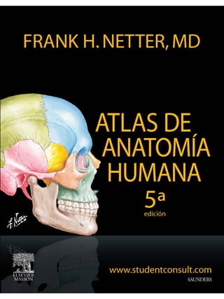 Anatomia - Netter.pdf
