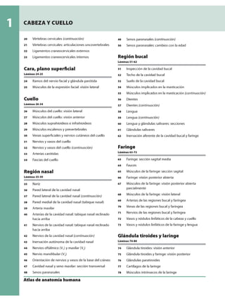 Anatomia - Netter.pdf