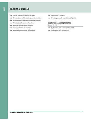 Anatomia - Netter.pdf