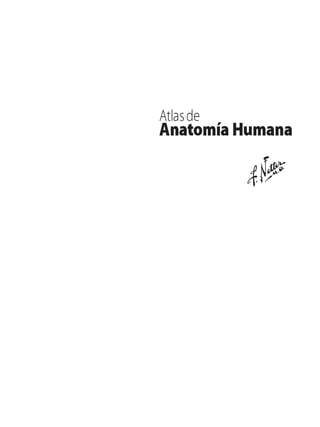 Anatomia - Netter.pdf