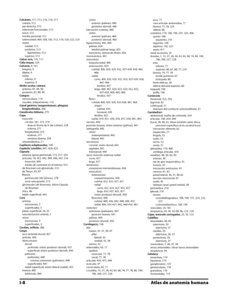 Anatomia - Netter.pdf