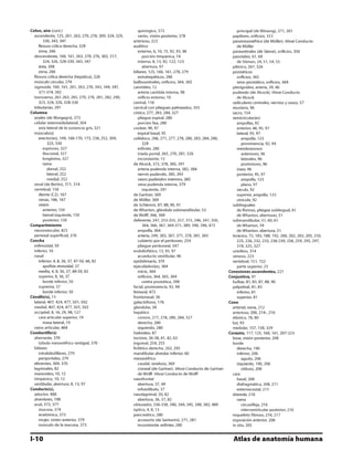 Anatomia - Netter.pdf