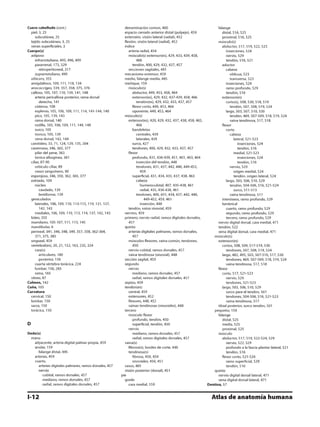 Anatomia - Netter.pdf