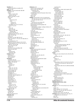 Anatomia - Netter.pdf