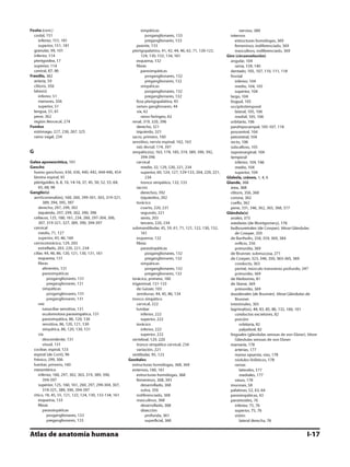 Anatomia - Netter.pdf
