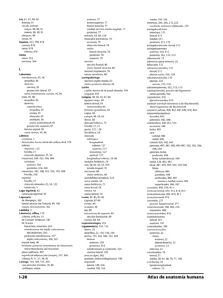 Anatomia - Netter.pdf