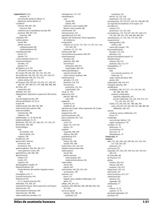 Anatomia - Netter.pdf