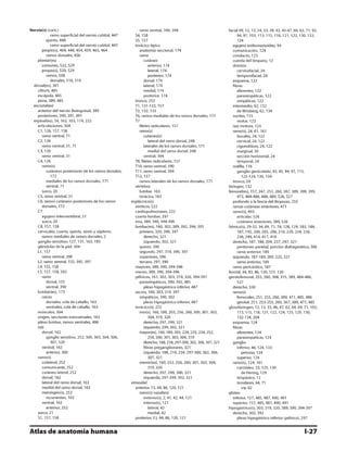 Anatomia - Netter.pdf