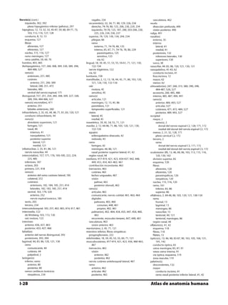 Anatomia - Netter.pdf