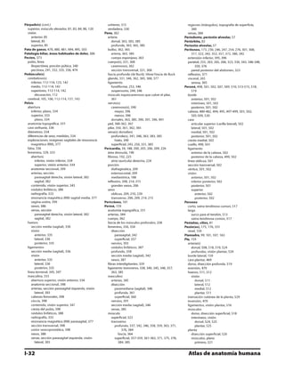 Anatomia - Netter.pdf