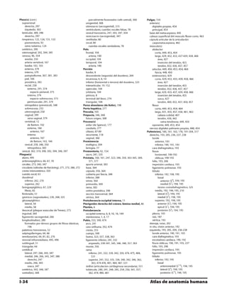Anatomia - Netter.pdf