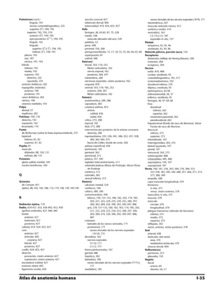 Anatomia - Netter.pdf