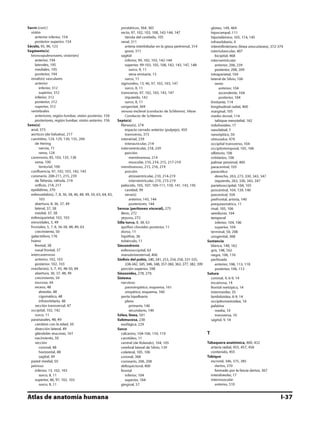 Anatomia - Netter.pdf