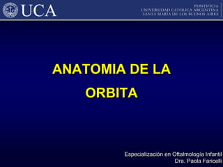 ANATOMIA DE LA
ORBITA

Especialización en Oftalmología Infantil
Especialización en Oftalmología Infantil
Dra. Paola Faricelli
Dra. Paola Faricelli

 
